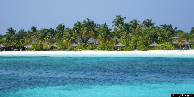 White coral sands, palm trees and thatched beach umbrellas across turquoise waters, Island of Kuredu, Maldives, Indian Ocean.