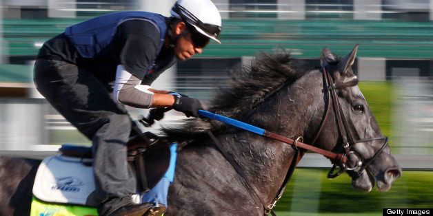 Frac Daddy with rider Victor LeBron works out on Wednesday, May 1, 2013, at Churchill Downs in Louisville, Kentucky, in preparation for the Kentucky Derby. (Mark Cornelison/Lexington Herald-Leader/MCT via Getty Images)