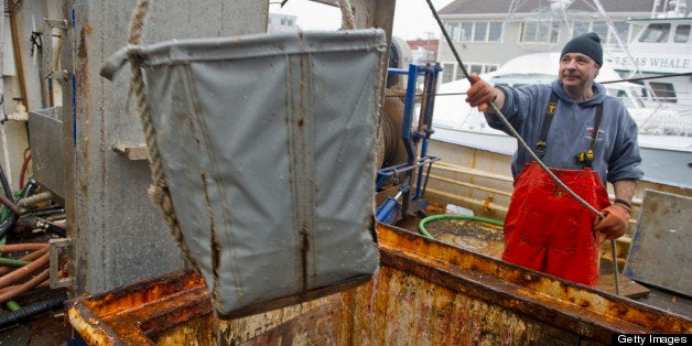 GLOUCESTER, MASSACHUSETTS - FEBRUARY 16: Fisherman Baldassare Noto unloads the daily catch from the 'Jenny G' commercial fishing vessel onto the dock on February 16, 2013 in Gloucester, Massachusetts. With a new regulation announced by The New England Fishery Management Council, cutting cod fishing by 77 percent in Gulf of Maine, many in the New England groundfishing industry are leaving the business or struggling to survive. (Photo by Ann Hermes/The Christian Science Monitor via Getty Images)