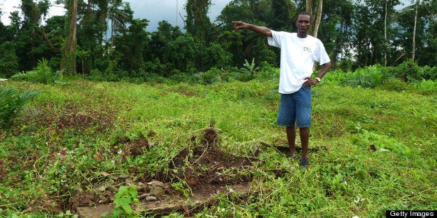 TO GO WITH AFP STORY BY ANNE CHAON Benedict Smarts stands next to tombs of his ancestors, on December 12, 2012, on the concession of Indonesian Golden Veroleum Liberia, southern Liberia, where, since the end of 2010, large parts of the last great primary forest of Liberia disappear to make way for palm oil in defiance of traditions and local customs closely linked to forest. Previously hidden deep in the forest, tombs are now surrounded by palms trees for oil palm exploitation. AFP PHOTO / ANNE CHAON (Photo credit should read ANNE CHAON/AFP/Getty Images)