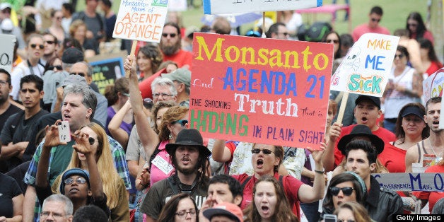 People carry signs during a protest against agribusiness giant Monsanto in Los Angeles on May 25, 2013. Marches and rallies against Monsanto and genetically modified organisms (GMO) in food and seeds were held across the US and in other countries with protestors calling attention to the dangers posed by GMO food. AFP PHOTO / ROBYN BECK (Photo credit should read ROBYN BECK/AFP/Getty Images)