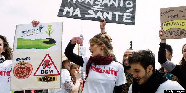 Anti-genetically modified organism (GMO) activists gather on the Trocadero square near the Eiffel tower during a demonstration against GMOs and US chemical giant Monsanto on May 25, 2013 in Paris. Placard reads : 'Monsanto / My health' AFP PHOTO / FRED DUFOUR (Photo credit should read FRED DUFOUR/AFP/Getty Images)