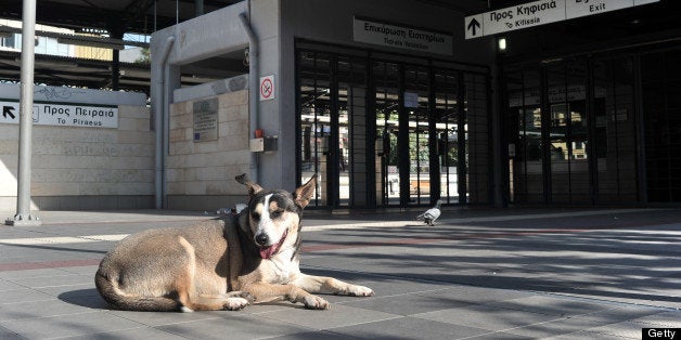 A dog sits in an empty train station in Athens, during a 24-hours strike by subway and city rail employees to protest the new wave of austerity cuts announced this week, on November 2, 2012. Greece's negotiations with international lenders for desperately needed rescue funds some two weeks before bankruptcy looms are stuck, the IMF said on November 1, sending Greek stocks plunging. Meanwhile cuts in pensions and salaries for state employees that the Greek government has planned to unlock critical bailout funds were ruled unconstitutional by a court, the semi-official ANA news agency reported. AFP PHOTO / LOUISA GOULIAMAKI (Photo credit should read LOUISA GOULIAMAKI/AFP/Getty Images)