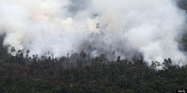 Thick smoke from raging forest fires rise in Pelalawan regency in Riau province located in Indonesia's Sumatra island on June 21, 2013. While Singapore and Indonesian environment ministers met in Jakarta on June 21 to discuss the haze problem Indonesia deployed aircraft to artificially create rain in a bid to douse raging fires that have choked Singapore with smog, which is hitting record-breaking levels that pose a threat to the elderly and the ill. AFP PHOTO / HAFIZ ALFARISSI (Photo credit should read HAFIZ ALFARISSI/AFP/Getty Images)