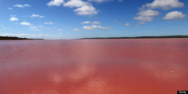 Edible algae provides a pink hue to the Hutt Pink Lagoon, Port Gregory, Western Australia, Australia, Pacific