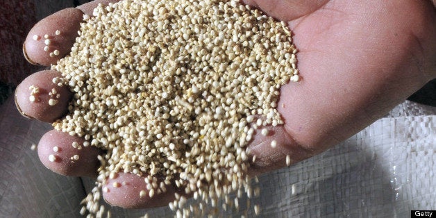 A Bolivian Aymara native shows Quinoa seeds during a visit to the so-called Quinoa Route in the Bolivian Andes, on April 8, 2013 in the Tarmaya community, 120 km south of La Paz. AFP PHOTO / Aizar Raldes (Photo credit should read AIZAR RALDES/AFP/Getty Images)