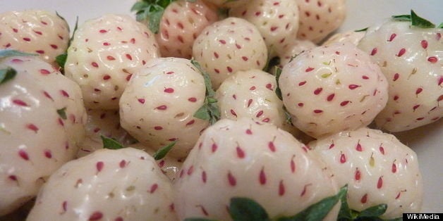 World's Weirdest Hybrid Fruits