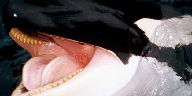 Vancouver, British Columbia, Canada, North