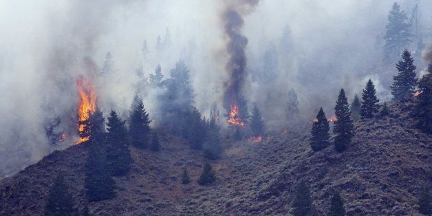 Firefighters continue to battle the Beaver Creek Fire in the Wood River Valley, as it drops down the canyon hillside west of Hailey, Idaho, Saturday, August 17, 2013. (Darin Oswald/Idaho Statesman/MCT via Getty Images)