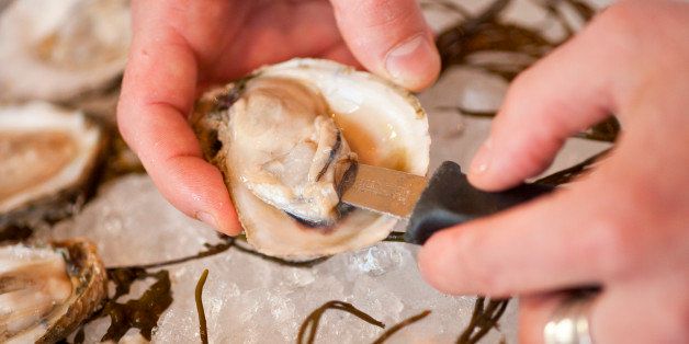 shucking oysters, Santa Barbara, California