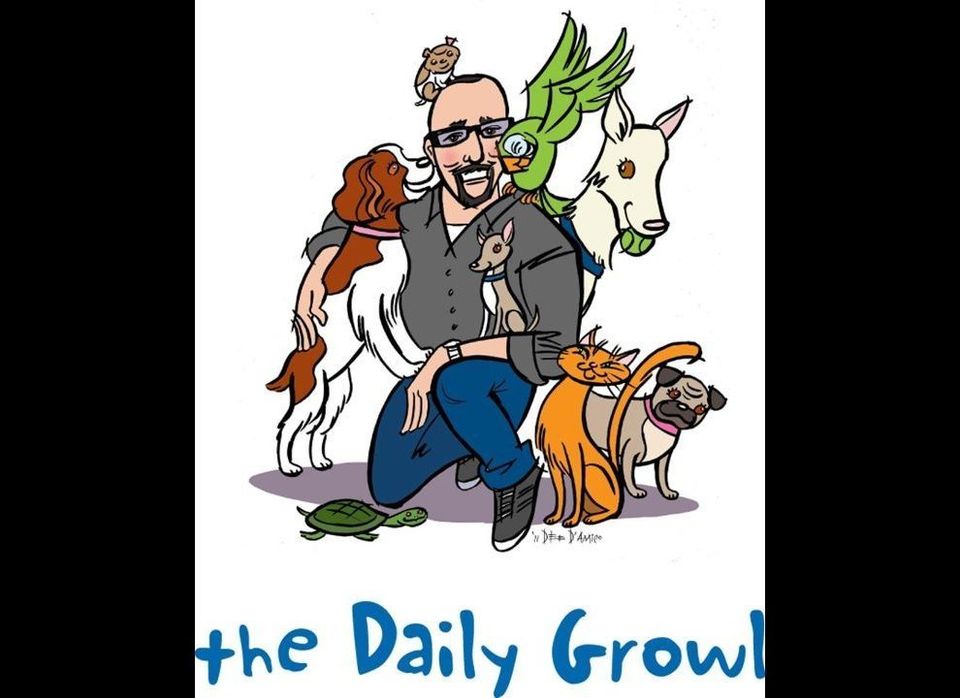 The Daily Growl