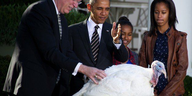 US President Barack Obama (2nd L) gestures with his daughters Sasha (2nd R) and Malia (R) in the Rose Garden of the White House during the annual Thanksgiving turkey pardon November 21, 2012 in Washington, DC, as National Turkey Federation Chairman Steve Willardsen holds Cobbler. Obama pardoned turkeys Cobbler and Gobbler, both raised in Rockingham County, Virginia. The turkeys will then spend the rest of the holiday season on display at George Washington's Mount Vernon estate. The turkeys were raised by Craig and Nancy Miller in Rockingham County, Virginia. AFP Photo/Jim WATSON (Photo credit should read JIM WATSON/AFP/Getty Images)
