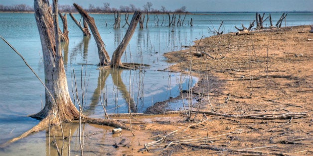 [UNVERIFIED CONTENT] The drought in North Texas has drained significant amounts of water from Lake Lewisville (near Dallas) and has exposed tree trunks that were once submerged.The shoreline has receded by dozens of feet from the bank and the drought has severely affecting boating and fishing.