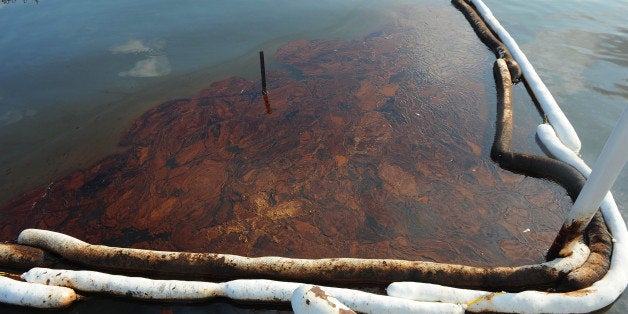 GRAND ISLE, LA - JUNE 19: Oil pools in between booms in Barataria Bay June 19, 2010 near Grand Isle, Louisiana. The BP oil spill has been called one of the largest environmental disasters in American history. (Photo by Cheryl Gerber/Getty Images)