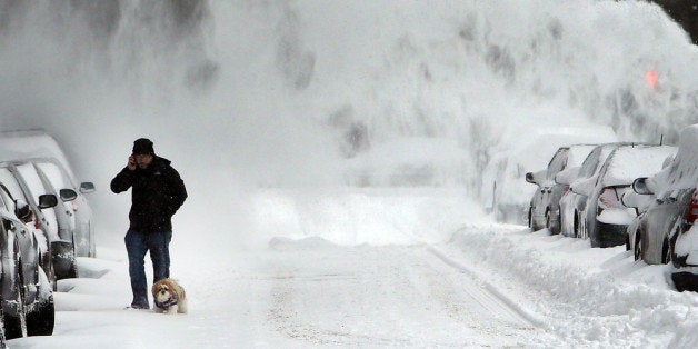 NEW YORK, NY - JANUARY 03: A man and his dog contend with blowing snow in Brooklyn following a snow storm that left up to 8