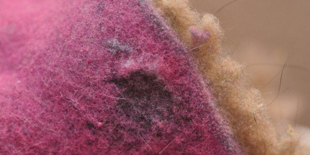 Laundry! This is the disgusting, yet colorful mass of dryer lint which emerged from the vent of my dryer. Did rugs and towe