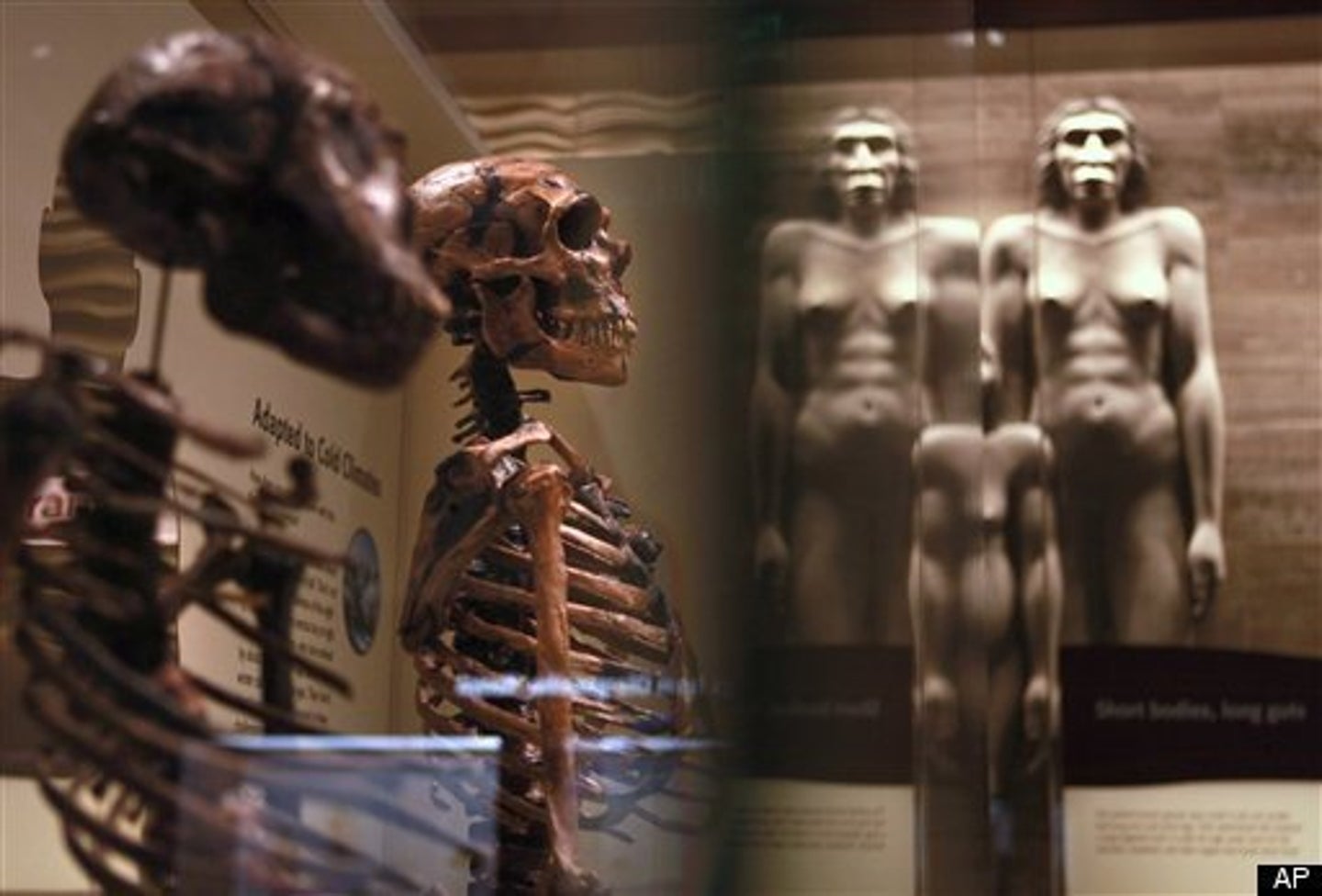 Climate Change And Human Evolution: Did Climate 'Make Us'? | HuffPost ...