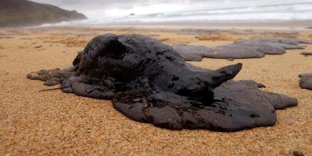 A sea bird covered by oil lies dead on Mar de Fora's beach near Fisterra 03 December 2002. Officials in northernwestern Spain on 04 December 2002 extended a ban on fishing and shellfish harvesting as far south as Portugal as stinking thick fuel from the sunken oil tanker Prestige spread out across the Galician coast. AFP PHOTO/Pierre-Philippe MARCOU (Photo credit should read PIERRE-PHILIPPE MARCOU/AFP/GettyImages)