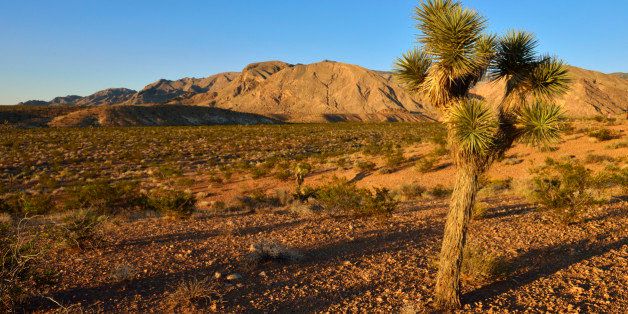 Deserts Found To Be Major Carbon Dioxide Sink Study Finds