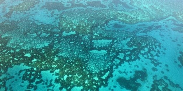 Picture taken trought the window of a Colombian navy search and rescue plane of coral reef near the 82nd meridian on November 30, 2012. AFP PHOTO/Eitan Abramovich (Photo credit should read EITAN ABRAMOVICH/AFP/Getty Images)