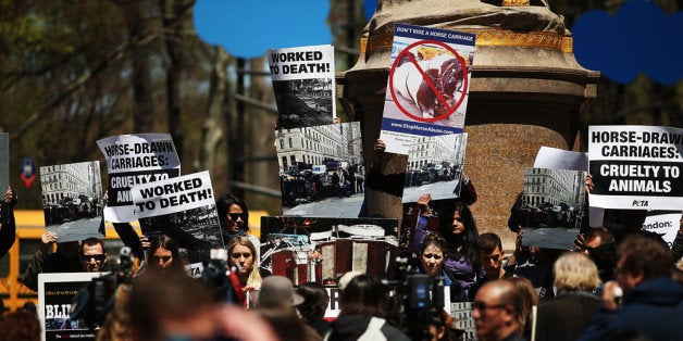 NEW YORK, NY - APRIL 24: People protest against the use of carriage horses at Central Park on April 24, 2014 in New York City. Mayor Bill de Blasio of New York, a Democrat, made a campaign pledge to ban carriages in Central Park. Many New Yorkers have been voicing their support for the horses and drivers despite the criticism from animal welfare agencies. Recently, animal welfare activists protested in front of actor Liam Neeson's home after he wrote a newspaper piece in support of the carriage horses. (Photo by Spencer Platt/Getty Images)