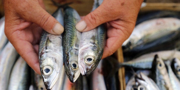 Catch of the day: low-mercury tuna - The Boston Globe