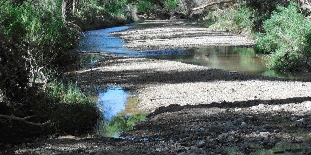 San Pedro River Downstream near San Pedro HouseHere, from the same viewpoint as the previous picture, is a northward downstream view of San Pedro River. This area has large gravelbar sections. This portion of the river is south of the Highway 90 bridge near the San Pedro House area.