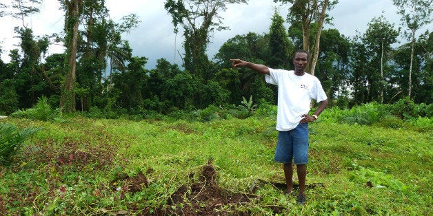 TO GO WITH AFP STORY BY ANNE CHAONBenedict Smarts stands next to tombs of his ancestors, on December 12, 2012, on the concession of Indonesian Golden Veroleum Liberia, southern Liberia, where, since the end of 2010, large parts of the last great primary forest of Liberia disappear to make way for palm oil in defiance of traditions and local customs closely linked to forest. Previously hidden deep in the forest, tombs are now surrounded by palms trees for oil palm exploitation. AFP PHOTO / ANNE CHAON (Photo credit should read ANNE CHAON/AFP/Getty Images)