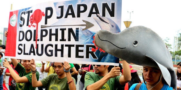 METRO MANILA, PHILIPPINES - 2014/09/01: Filipino environmental activists and other advocates from all-over the globe join to oppose cruel and inhumane activity by staging a protest action in front of the Embassy of Japan in the City of Manila. Each year, there is an annual slaughter of dolphins in Taiji, Japan which starts on the first day of September. (Photo by Gregorio B. Dantes Jr./Pacific Press/LightRocket via Getty Images)