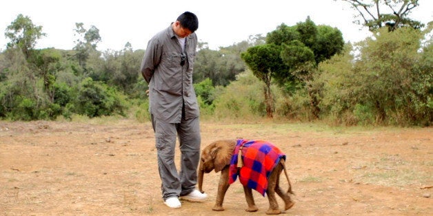 This undated image released by Animal Planet shows retired Chinese professional basketball player Yao Ming with a baby elephant. Ming sets off to help save Africa's elephants and rhinos from extinction by changing a 1,000-year-old Chinese tradition and ending the trade of illegal ivory and rhino horn in his native China in an Animal Planet special airing in the fall. (AP Photo/Animal Planet)