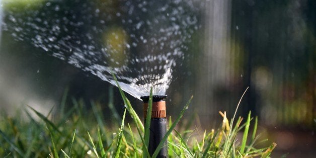 Sprinklers water a patch of grass on the sidewalk in front of a house in Alhambra, California, on July 25, 2014. In the lates