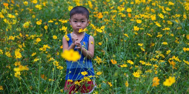 HUE, VIETNAM - 2014/04/17: Vietnamese boy child playing among daisy flowers. (Photo by John S Lander/LightRocket via Getty Im