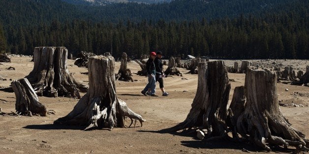 People walk amongst exposed tree stumps on the dried up lake bed of Huntington Lake which is at only 30 percent capacity as a severe drought continues to affect California on September 23, 2014. California is in the grip of its third year of severe drought, the worst in decades, threatening to drain underground aquifers and leaving the taps of some 40 million people to run dry. The state's drought affected Central Valley, is the considered the richest food-producing region in the world, where much of America's fresh fruits, nuts and vegetables being grown there. AFP PHOTO/Mark RALSTON (Photo credit should read MARK RALSTON/AFP/Getty Images)