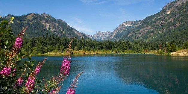 UNITED STATES - 2006/08/06: USA, Washington State, Cascade Mountains Near Snoqualmie Pass, Gold Creek Recreation Area, Gold Creek Pond, Fireweed. (Photo by Wolfgang Kaehler/LightRocket via Getty Images)