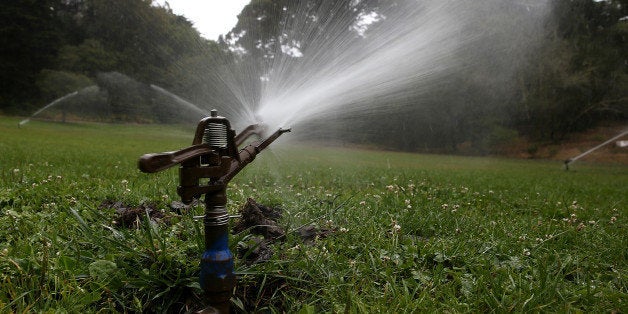 SAN FRANCISCO, CA - JULY 15: Sprinklers water a lawn in Golden Gate Park on July 15, 2014 in San Francisco, California. As the California drought continues to worsen and voluntary conservation is falling well below the suggested 20 percent, the California Water Resources Control Board is considering a $500 per day fine for residents who waste water on landscaping, hosing down sidewalks and car washing. (Photo by Justin Sullivan/Getty Images)