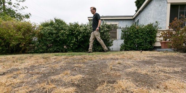 Michael Korte walks on his home brown lawn in Glendora, Calif., Thursday, July 17, 2014. The Southern California couple who scaled back watering due to drought received a letter from the city of Glendora warning that they could face fines if they don't get their brown lawn green again. They are told if they don't revive the lawn they could be hit with up to $500 in fines and possible criminal action. City Manager Chris Jeffers says the couple has not been cited and called it a friendly letter prompted by a neighbor's complaint. (AP Photo/Damian Dovarganes)