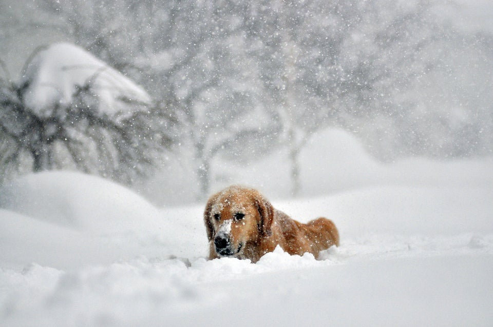 Record Snowstorm Pummels Buffalo