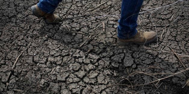 FILE - In this May 1, 2014 file photo, fourth-generation rice farmer Josh Sheppard walks across the dried-up ditch at his rice farm in Richvale, Calif. In Santa Cruz, Calif., dozens of residents who violated their strict water rations take a seat at Water School, hoping to get hundreds of thousands of dollars in distressing penalties waived. California is in the third year of the state's worst drought in recent history. (AP Photo/Jae C. Hong, File)