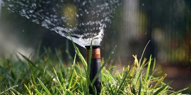 Sprinklers water a patch of grass on the sidewalk in front of a house in Alhambra, California, on July 25, 2014. In the lates