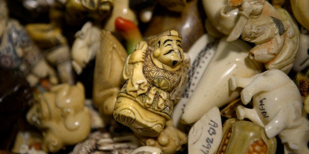 COMMERCE CITY, CO. - September 09: Ivory figurines, raw, polished and carved tusks will be part of an estimated 6 tons of con