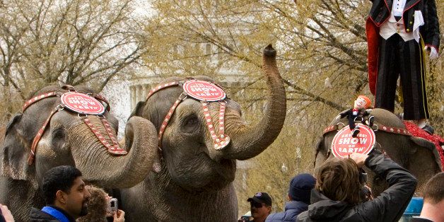 Ringling Bros. and Barnum & Bailey Circus performer Bello, right, waves as elephants from the circus march near Capitol Hill in Washington during the annual Pachyderm Parade (AP Photo/J. Scott Applewhite)