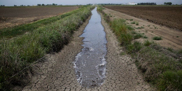 In this May 1, 2014 photo, irrigation water runs along the dried-up ditch between the rice farms to provide water for the ric
