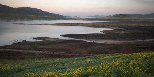 EAST PORTERVILLE, CA - FEBRUARY 11: Foliage and flowers the extremely low waters of Lake Success in the wake of recent stor