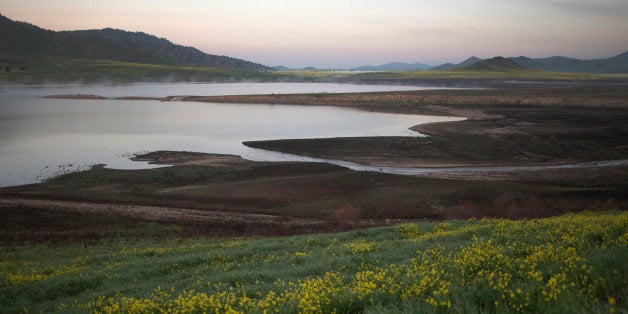 EAST PORTERVILLE, CA - FEBRUARY 11: Foliage and flowers the extremely low waters of Lake Success in the wake of recent storms but rain totals remain insufficient to break the worsening drought on February 11, 2015 near East Porterville, California. Many local residents, whose water wells have run dry, fill their tanks with free non-potable water for flushing toilets, bathing and laundering and use bottled water for drinking and washing dishes. Many of the dry wells of 926 homes in Tulare County dried up last summer when some 17 California communities ran out of water. (Photo by David McNew/Getty Images)