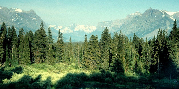 Lake with forest and mountains