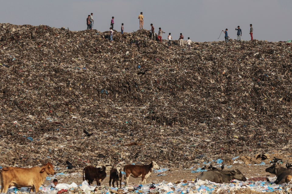 Growing garbage mound unnerves Domlur residents