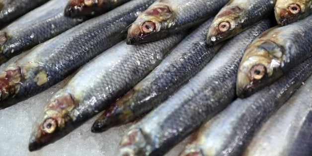 A picture taken on February 26, 2015 shows fresh sardine fish during the Paris international agricultural fair at the Porte d