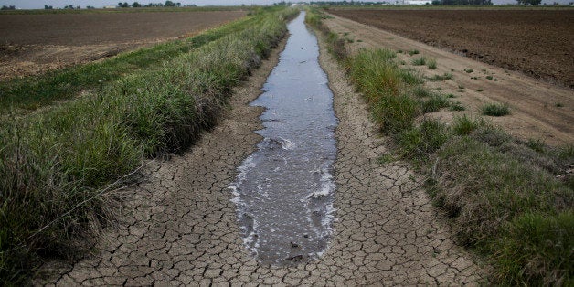 FILE- In this May 1, 2014, file photo, irrigation water runs along a dried-up ditch between rice farms to provide water for t