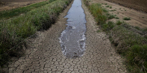 FILE- In this May 1, 2014, file photo, irrigation water runs along a dried-up ditch between rice farms to provide water for t