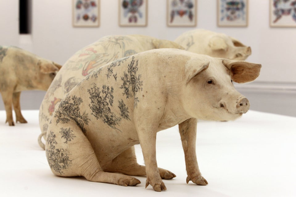 Artists Vs. Animals: 15 Artists Who Have Enraged Animal Rights Activists (PHOTOS) | HuffPost Entertainment Artists Vs. Animals: 15 Artists Who Have Enraged Animal Rights Activists (PHOTOS) | HuffPost Entertainment